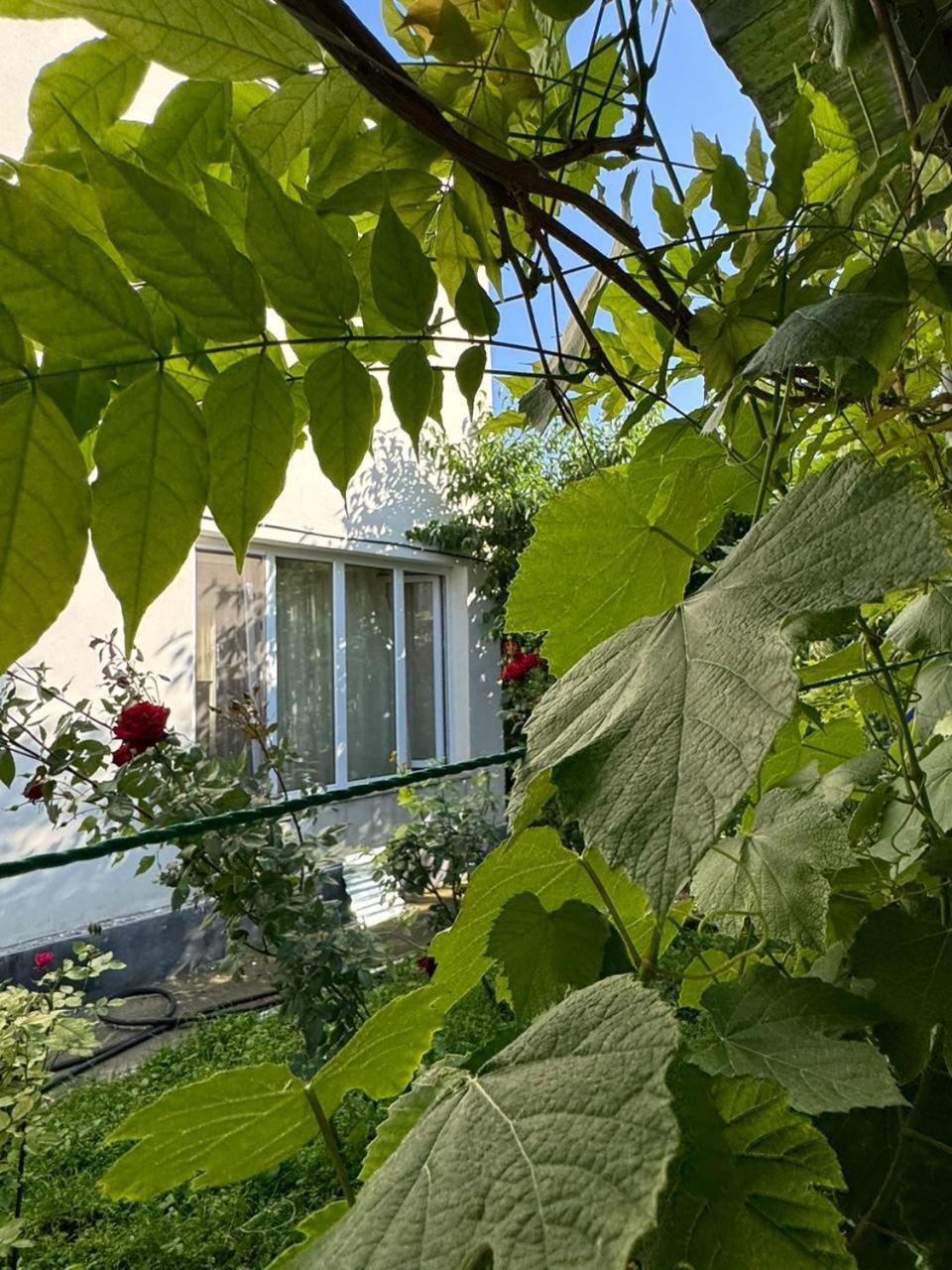 Hotel Center Goris Exterior foto